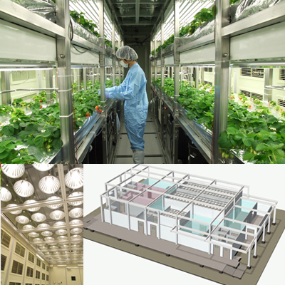 The closed type plant production system - The A.I.S.T. type GM plant production system